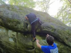 Fontainebleau (Petit Bois)